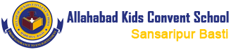 Allahabad Kids Convent School play school